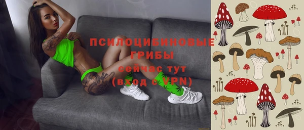 молекула духа Куйбышев