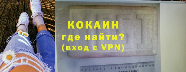 ПСИЛОЦИБИНОВЫЕ ГРИБЫ Кулебаки