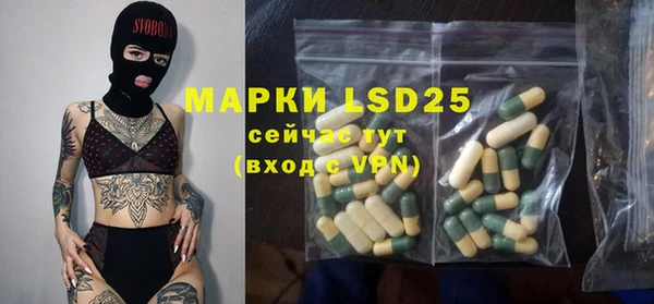 ПСИЛОЦИБИНОВЫЕ ГРИБЫ Кулебаки