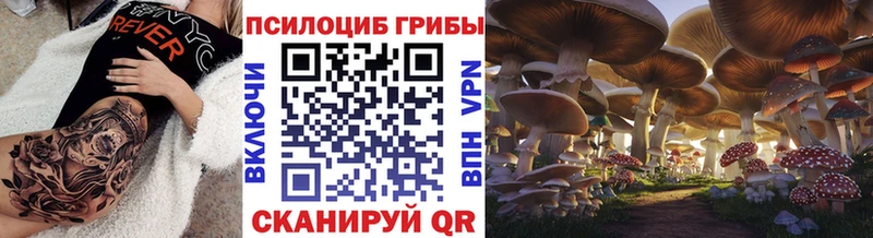Псилоцибиновые грибы ЛСД  Купить где  Островной 